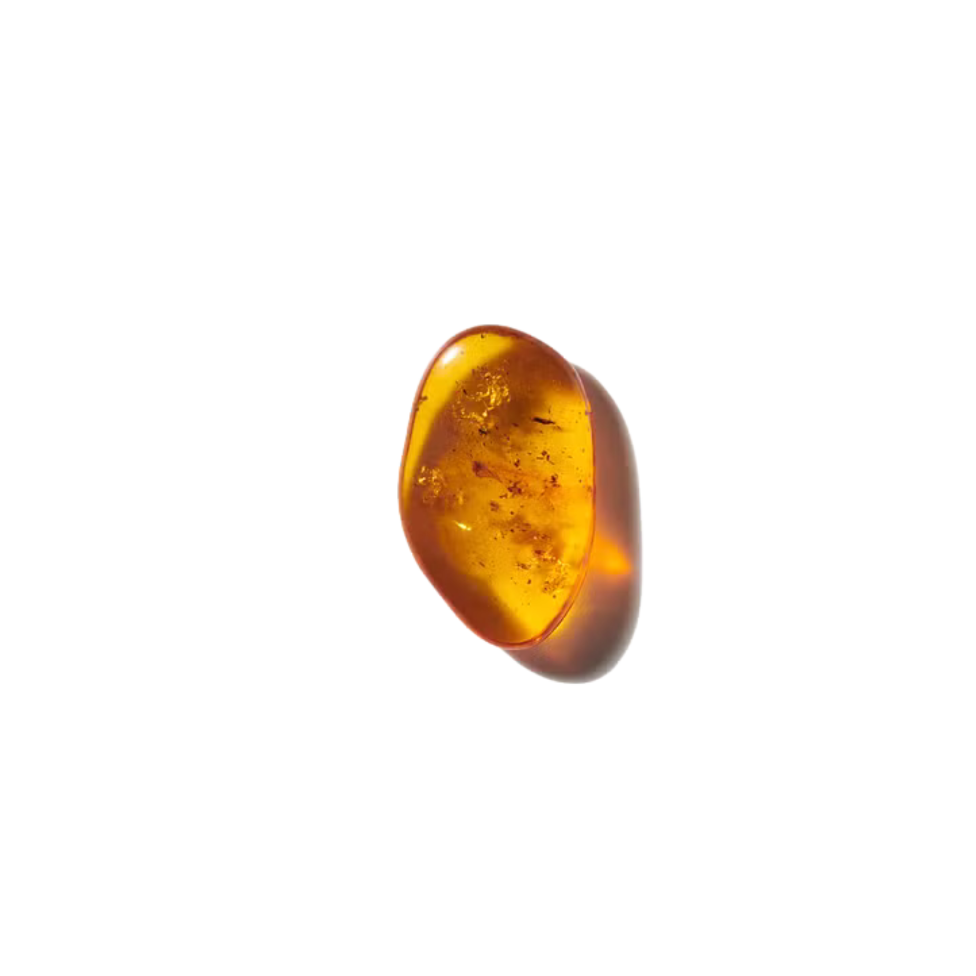 عمبر