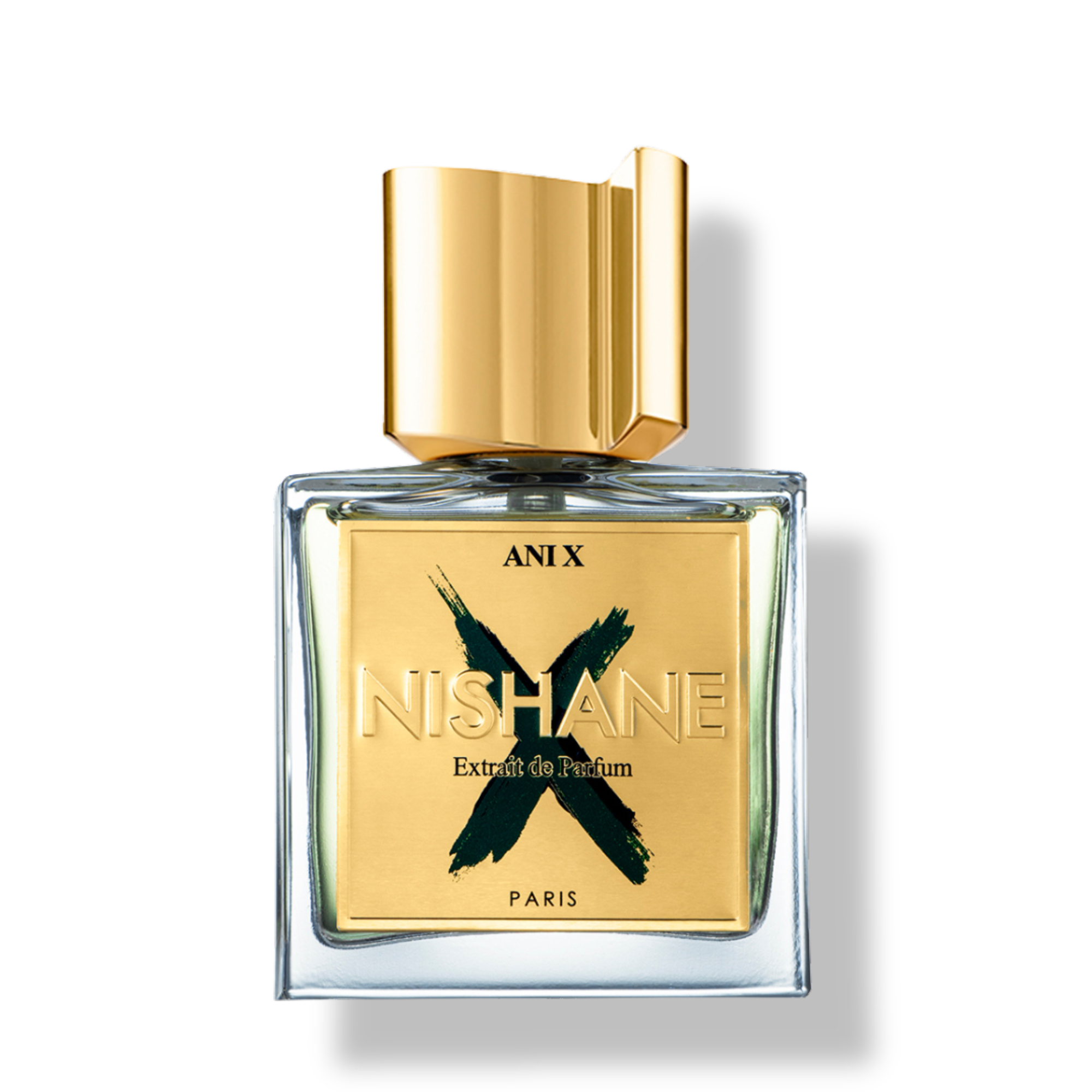 ANI X